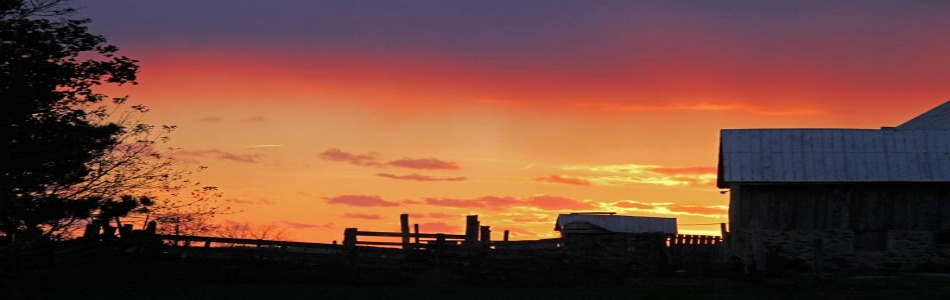 SUBMIT: 21__sunset-barn_0329.jpg